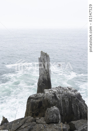 在宮城縣氣仙沼市發現海濱長廊 宮城偶來徒步路線 81547529