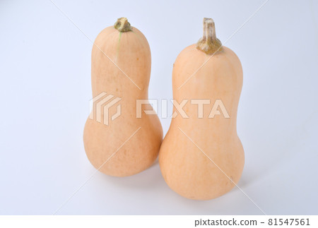 Ingredients, butternut squash. Pumpkin, pumpkin. Butternut. 81547561