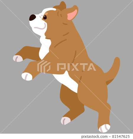 一隻簡單可愛的美國比特鬥牛犬的插圖,它在沒有主線的情況下跳躍 一隻簡單可愛的美國比特鬥牛犬的插圖,它在沒有主線的情況下跳躍 81547625