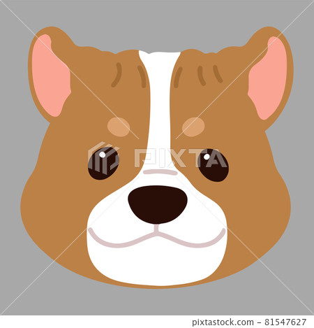 簡單可愛的美國比特鬥牛犬臉圖,沒有主線 簡單可愛的美國比特鬥牛犬臉圖,沒有主線 81547627