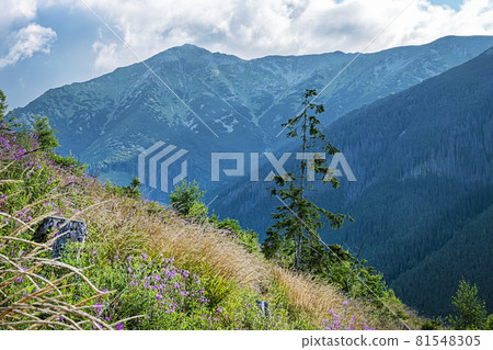 Otrhance mountain ridge, Western Tatras mountains, Slovakia Otrhance mountain ridge, Western Tatras mountains, Slovakia 81548305