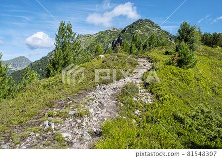 Otrhance mountain ridge, Western Tatras mountains, Slovakia Otrhance mountain ridge, Western Tatras mountains, Slovakia 81548307