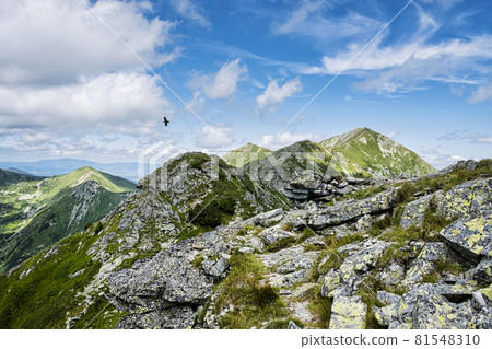 Western Tatras mountains, Slovakia Western Tatras mountains, Slovakia 81548310