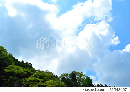 雲已經從山的邊緣升起 雲已經從山的邊緣升起 81548467