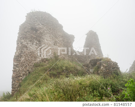 Details of the rest of defense tower in Historical Ruins of Lichnice Castle 81548557