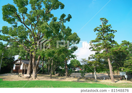 Natsukawa Castle Ruins Park and San Shrine in the park, Kita-ku, Okayama City, Okayama Prefecture Natsukawa Castle Ruins Park and San Shrine in the park, Kita-ku, Okayama City, Okayama Prefecture 81548876
