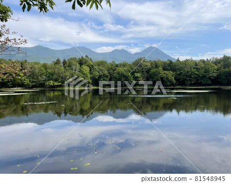 Three lakes of Shiretoko five lakes Three lakes of Shiretoko five lakes 81548945