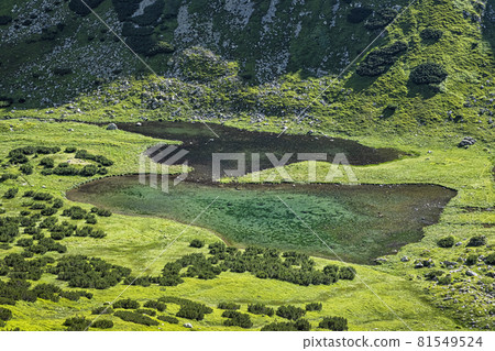 Rackova valley with mountain lakes, Western Tatras mountains, Slovakia 81549524