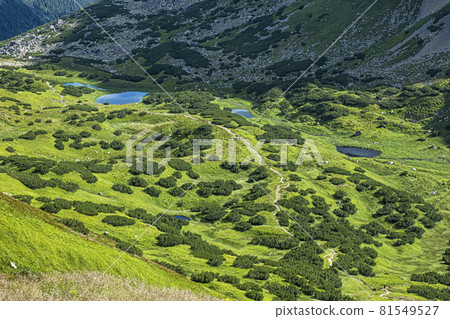 Rackova valley with mountain lakes, Western Tatras mountains, Slovakia Rackova valley with mountain lakes, Western Tatras mountains, Slovakia 81549527