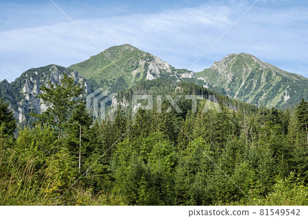 Belianske Tatras mountains, Slovakia 81549542