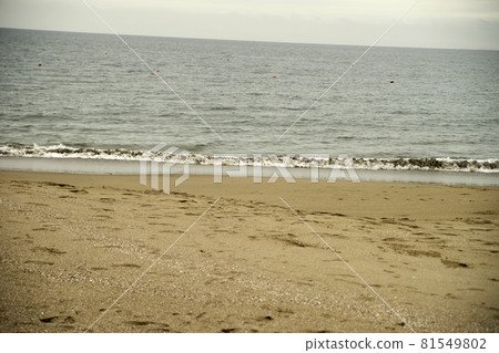 海/地平線/海岸/海灘/波浪 海/地平線/海岸/海灘/波浪 81549802