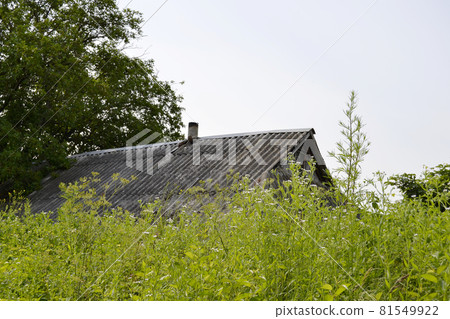 Beautiful old abandoned building farm house in countryside 81549922