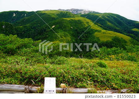 Mountain trail from Oritate to Tarobeihei Yakushidake from Gokoiwa bench 81550023