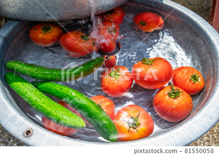 Summer vegetables tomato cucumber Summer vegetables tomato cucumber 81550058