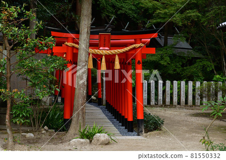 From Katsuragi Hitokoton Shrine From Katsuragi Hitokoton Shrine 81550332