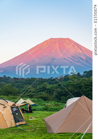 從“山梨縣”露營地看到的夕陽染紅的富士 81550874