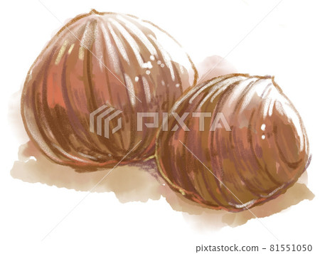 Marron Glacé watercolor illustration Marron Glacé watercolor illustration 81551050