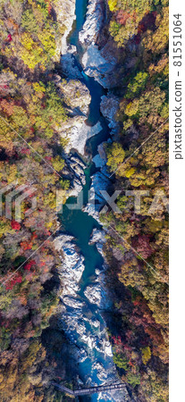 Aerial view "Tochigi Prefecture" Ryuokyo dyed in autumn colors Aerial view "Tochigi Prefecture" Ryuokyo dyed in autumn colors 81551064