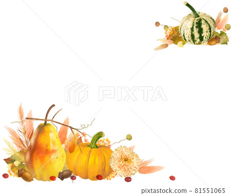 南瓜、潘帕斯草、潘帕斯草、橡子與潘帕斯草和貓的矢量白背框插畫素材 81551065