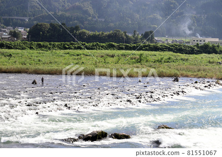 Ayu fishing on the Kuzuryu River (Eiheiji Town, Fukui Prefecture) 81551067