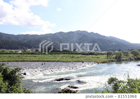 Ayu fishing on the Kuzuryu River (Eiheiji Town, Fukui Prefecture) 81551068