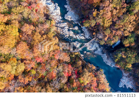 Aerial view "Tochigi Prefecture" Ryuokyo dyed in autumn colors 81551113