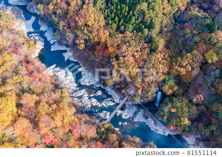 Aerial view "Tochigi Prefecture" Ryuokyo dyed in autumn colors 81551114