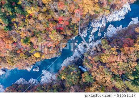 鳥瞰“櫪木縣”被秋葉染紅的琉球 鳥瞰“櫪木縣”被秋葉染紅的琉球 81551117