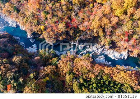 Aerial view "Tochigi Prefecture" Ryuokyo dyed in autumn colors 81551119