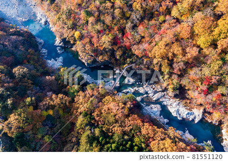 Aerial view "Tochigi Prefecture" Ryuokyo dyed in autumn colors Aerial view "Tochigi Prefecture" Ryuokyo dyed in autumn colors 81551120