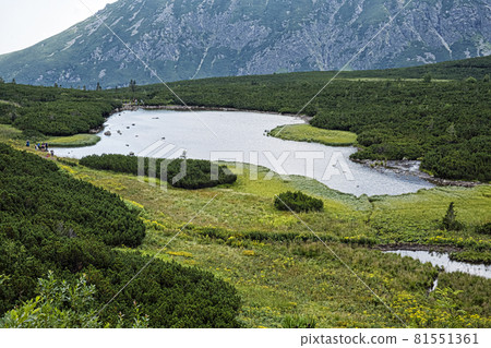 Great White mountain lake, Belianske Tatras mountain, Slovakia 81551361