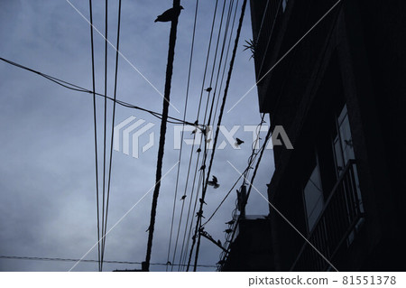 The nostalgic sky of the old town: A mysterious scene capturing numerous wild birds perched on power lines and the moment they take flight. The nostalgic sky of the old town: A mysterious scene capturing numerous wild birds perched on power lines and the moment they take flight. 81551378
