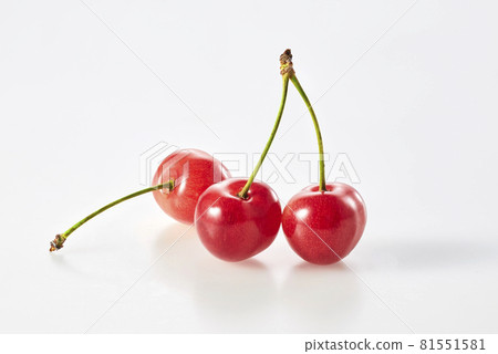 Cherry Cherry 81551581