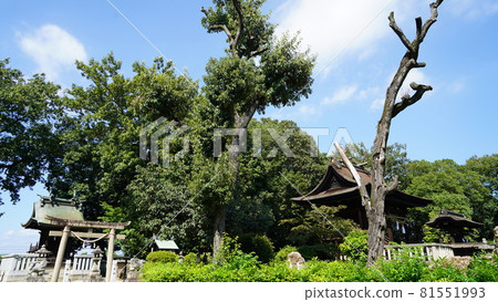 Achi Shrine, Kurashiki Bikan Historical Quarter, Okayama Prefecture Achi Shrine, Kurashiki Bikan Historical Quarter, Okayama Prefecture 81551993