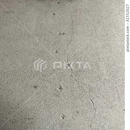混凝土貓腳印 81552027