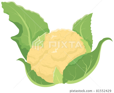 橙色花椰菜 橙色花椰菜 81552429