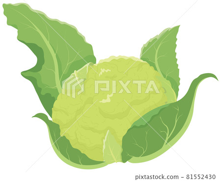 綠花椰菜 綠花椰菜 81552430