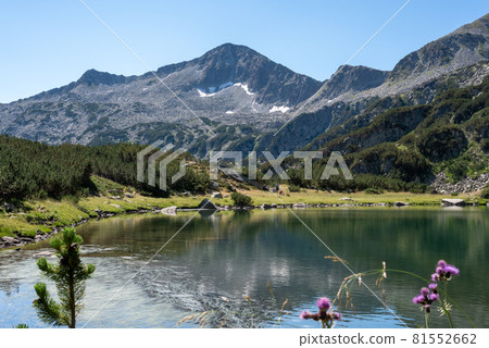 Alpine lake in the mountains of Pirin National Park, Bulgaria 81552662