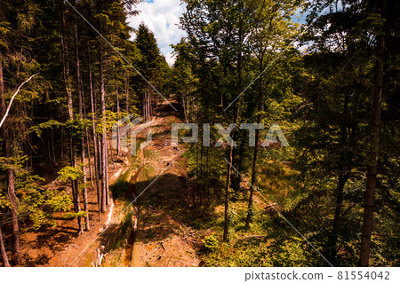 Deforestation by total illegal logging, top view. Deforestation by total illegal logging, top view. 81554042