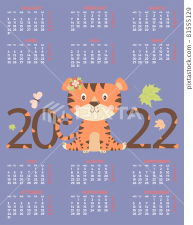 Calendar of Tiger for 2022. Annual Calendar with a cute Tiger, a symbol of the new year 2022. Vector illustration. Vertical calendar template A3 format for 12 months in English. Week starts on Monday 81555129