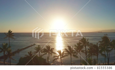 Aerial flight straight from behind between palm trees above water in ocean against colorful sunset. Panning aerial drone slowly flying over a colorful while Sunset in Oahu, Hawaii with Waikiki Beach. Aerial flight straight from behind between palm trees above water in ocean against colorful sunset. Panning aerial drone slowly flying over a colorful while Sunset in Oahu, Hawaii with Waikiki Beach. 81555386