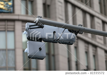 traffic lights traffic lights 81555572