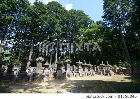 Hotokuji Temple Yagyu Family Eon Cemetery Yagyu, Nara City, Nara Prefecture Hotokuji Temple Yagyu Family Eon Cemetery Yagyu, Nara City, Nara Prefecture 81556840