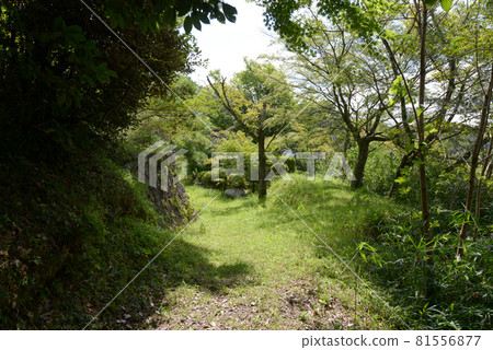 Hotokuji Temple, Yagyu, Nara City, Nara Prefecture Hotokuji Temple, Yagyu, Nara City, Nara Prefecture 81556877