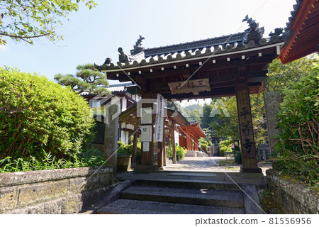 奈良縣櫻井市平家寺三門 81556956