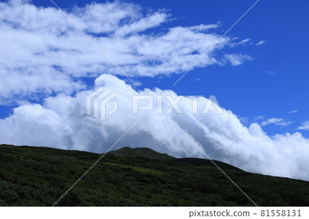 Scenery from Tsukiyama 81558131