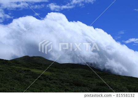 Scenery from Tsukiyama 81558132