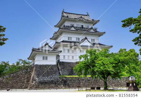 神奈川縣小田原城的城堡塔 81558354