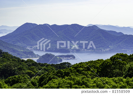 Seto Inland Sea Tajima, Fukuyama City, Hiroshima Prefecture Seto Inland Sea Tajima, Fukuyama City, Hiroshima Prefecture 81558509