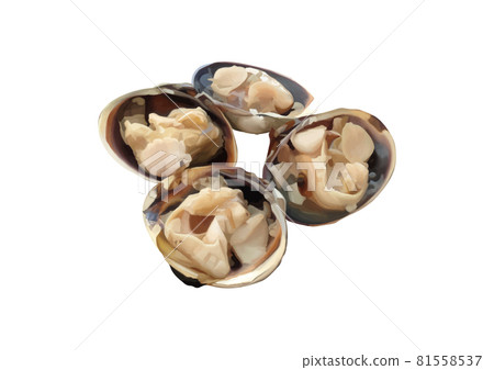 什錦烤蛤蜊 什錦烤蛤蜊 81558537